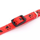 Ошейник двухслойный со светоотражающим покрытием и косточками, 45 х 2 см, микс цветов - фото 26599785