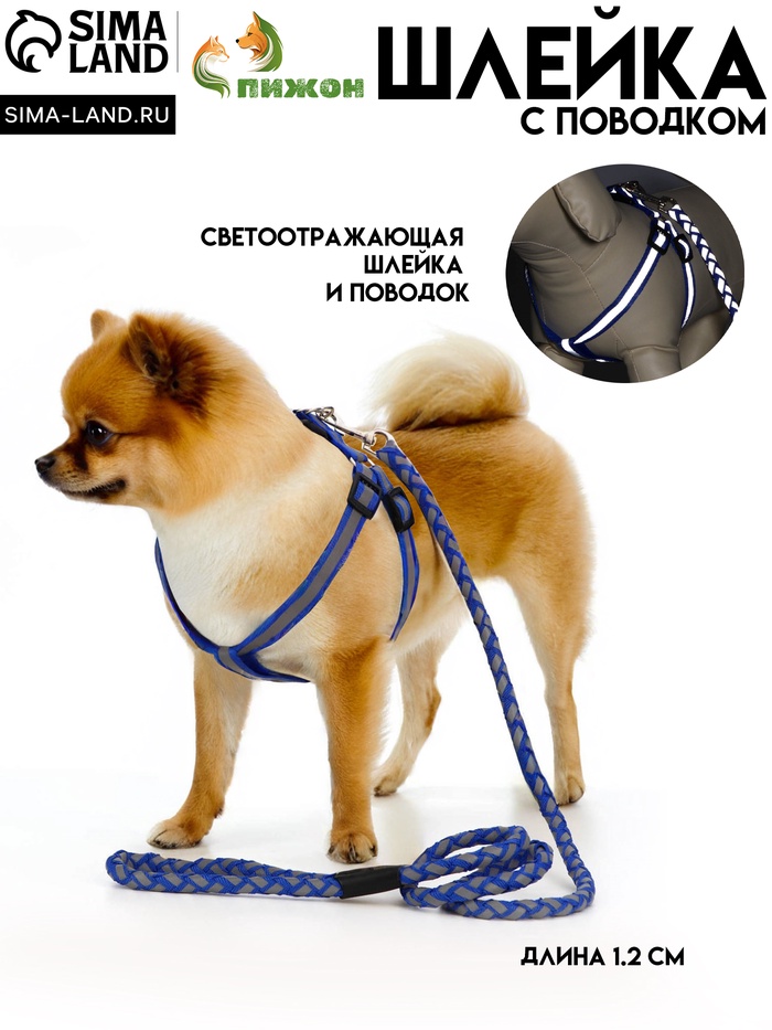 700.jpg?v=1744030532