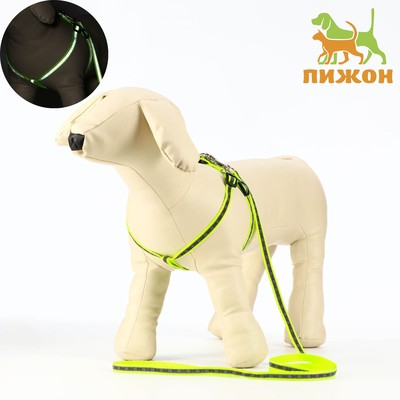 Комплект светоотражающий «Косточки», ошейник 120×1 см, ОШ 26-42 см, ОГ 26-42 см, зелёный