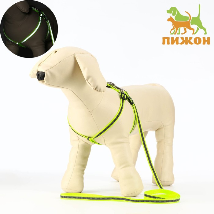 Комплект светоотражающий «Косточки», ошейник 120×1 см, ОШ 26-42 см, ОГ 26-42 см, зелёный - Фото 1