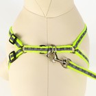 Комплект светоотражающий «Косточки», ошейник 120×1 см, ОШ 26-42 см, ОГ 26-42 см, зелёный - Фото 5