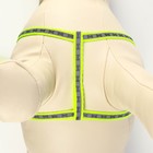 Комплект светоотражающий «Косточки», ошейник 120×1 см, ОШ 26-42 см, ОГ 26-42 см, зелёный - Фото 6