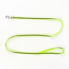 Комплект светоотражающий «Косточки», ошейник 120×1 см, ОШ 26-42 см, ОГ 26-42 см, зелёный - Фото 7