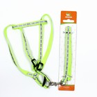 Комплект светоотражающий «Косточки», ошейник 120×1 см, ОШ 26-42 см, ОГ 26-42 см, зелёный - Фото 8