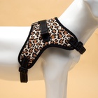 Шлейка К7, размер XL, ОГ 74-92 см, вес 28-47.5 кг, мягкая, светоотражающая, леопард - Фото 5