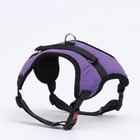 Шлейка К7, размер XL, ОГ 74-92 см, вес 28-47.5 кг, мягкая, светоотражающая, фиолетовая - Фото 1