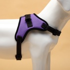 Шлейка К7, размер XL, ОГ 74-92 см, вес 28-47.5 кг, мягкая, светоотражающая, фиолетовая - Фото 5