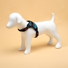 Шлейка К7, размер S, ОГ 44-55 см, вес 5-9 кг, мягкая, светоотражающая, голубая - Фото 2