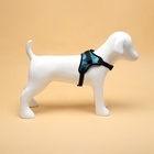 Шлейка К7, размер S, ОГ 44-55 см, вес 5-9 кг, мягкая, светоотражающая, голубая - Фото 4