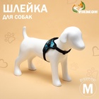 Шлейка К7, размер М, ОГ 52-66 см, вес 9.5-17.5 кг, мягкая, светоотражающая, голубая - Фото 1