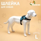 Шлейка К7, размер L, ОГ 64-86 см, вес 18- 27.5 кг, мягкая, светоотражающая, голубая - Фото 1