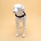 Шлейка К7, размер L, ОГ 64-86 см, вес 18- 27.5 кг, мягкая, светоотражающая, голубая - Фото 3