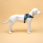 Шлейка К7, размер L, ОГ 64-86 см, вес 18- 27.5 кг, мягкая, светоотражающая, голубая - Фото 4