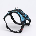 Шлейка К7, размер XL, ОГ 74-92 см, вес 28-47.5 кг, мягкая, светоотражающая, голубая - Фото 1