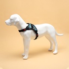 Шлейка К7, размер XL, ОГ 74-92 см, вес 28-47.5 кг, мягкая, светоотражающая, голубая - Фото 2