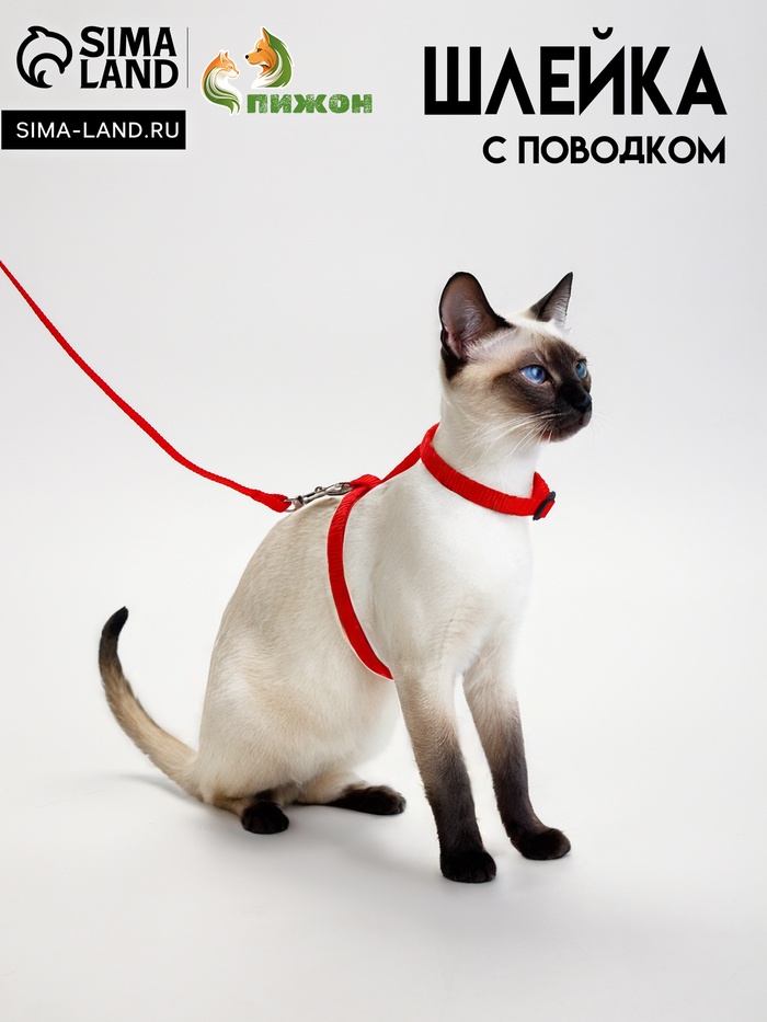 Комплект для кошек, ширина 1 см, ОШ 16.5-27 см, ОГ 21-35 см, поводок 120 см, красный - Фото 1