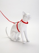 Комплект для кошек, ширина 1 см, ОШ 16.5-27 см, ОГ 21-35 см, поводок 120 см, красный - Фото 2