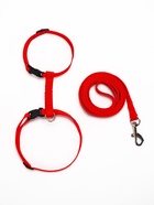 Комплект для кошек, ширина 1 см, ОШ 16.5-27 см, ОГ 21-35 см, поводок 120 см, красный - Фото 4