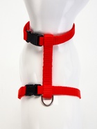 Комплект для кошек, ширина 1 см, ОШ 16.5-27 см, ОГ 21-35 см, поводок 120 см, красный - Фото 5