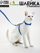 Комплект для кошек, ширина 1 см, ОШ 16.5-27 см, ОГ 21-35 см, поводок 120 см, синий - Фото 1