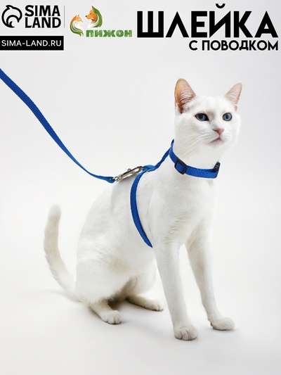 Комплект для кошек, ширина 1 см, ОШ 16.5-27 см, ОГ 21-35 см, поводок 120 см, синий