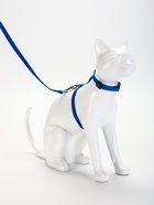 Комплект для кошек, ширина 1 см, ОШ 16.5-27 см, ОГ 21-35 см, поводок 120 см, синий - Фото 2