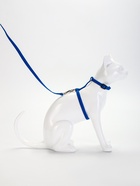 Комплект для кошек, ширина 1 см, ОШ 16.5-27 см, ОГ 21-35 см, поводок 120 см, синий - Фото 3