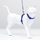 Комплект для кошек, ширина 1 см, ОШ 16,5-27 см, ОГ 21-35 см, поводок 120 см, синий - фото 7773585