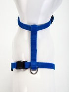 Комплект для кошек, ширина 1 см, ОШ 16.5-27 см, ОГ 21-35 см, поводок 120 см, синий - Фото 5