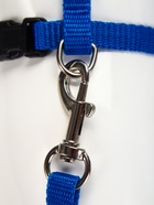 Комплект для кошек, ширина 1 см, ОШ 16.5-27 см, ОГ 21-35 см, поводок 120 см, синий - Фото 6