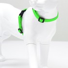 Комплект для кошек, ОШ 16.5-27 см, ОГ 21-35 см, ширина 1 см, поводок 120 см, зелёный - Фото 2