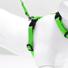 Комплект для кошек, ОШ 16.5-27 см, ОГ 21-35 см, ширина 1 см, поводок 120 см, зелёный - Фото 3