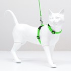 Комплект для кошек, ширина 1 см, ОШ 16,5-27 см, ОГ 21-35 см, поводок 120 см, зелёный - фото 7773593