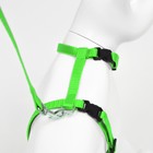 Комплект для кошек, ОШ 16.5-27 см, ОГ 21-35 см, ширина 1 см, поводок 120 см, зелёный - Фото 5