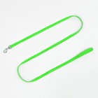 Комплект для кошек, ОШ 16.5-27 см, ОГ 21-35 см, ширина 1 см, поводок 120 см, зелёный - Фото 6