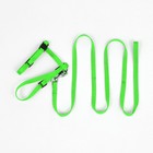 Комплект для кошек, ОШ 16.5-27 см, ОГ 21-35 см, ширина 1 см, поводок 120 см, зелёный - Фото 7