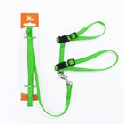 Комплект для кошек, ОШ 16.5-27 см, ОГ 21-35 см, ширина 1 см, поводок 120 см, зелёный - Фото 8