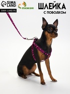 Комплект "Классика", поводок 120 х 1 см, ОГ 28-47 см, фиолетовый - Фото 1