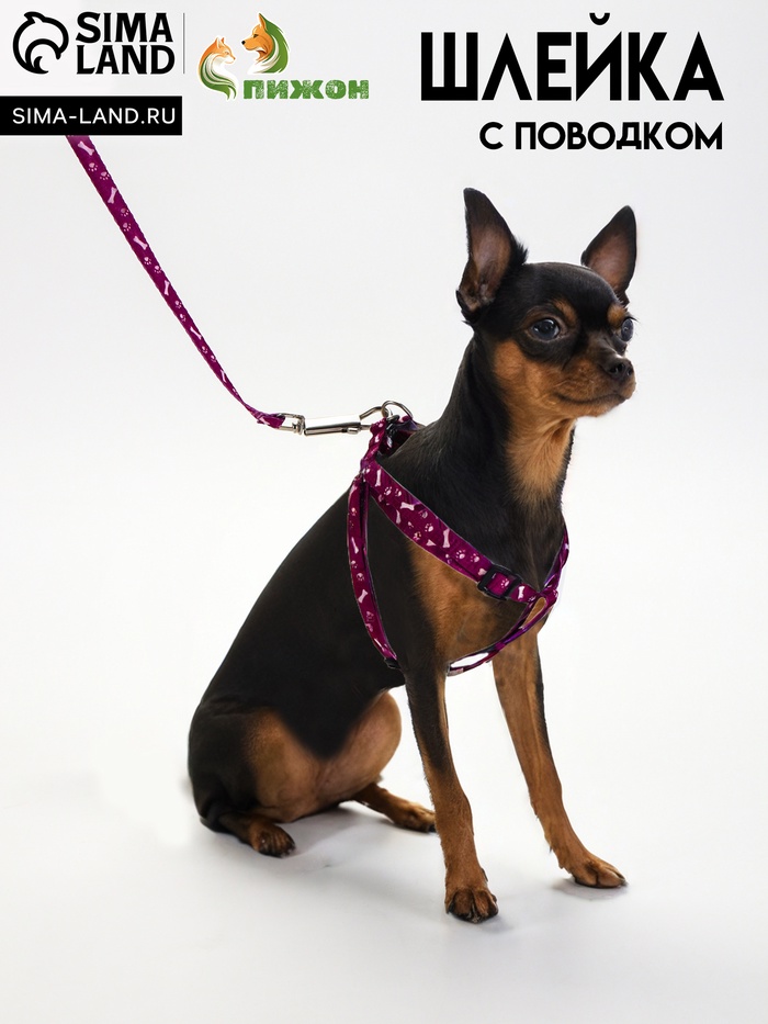 Комплект "Классика", поводок 120 х 1 см, ОГ 28-47 см, фиолетовый - Фото 1