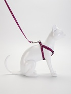 Комплект "Классика", поводок 120 х 1 см, ОГ 28-47 см, фиолетовый - Фото 3