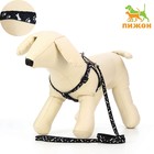 Комплект «Классика», капрон, ширина 1 см, шлейка 28-47 см, поводок 120 см, чёрный - Фото 1