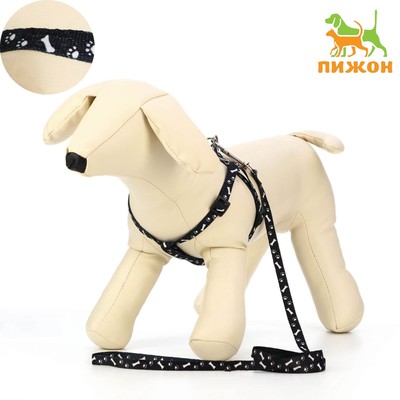 Комплект «Классика», капрон, ширина 1 см, шлейка 28-47 см, поводок 120 см, чёрный