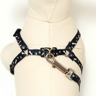 Комплект «Классика», капрон, ширина 1 см, шлейка 28-47 см, поводок 120 см, чёрный - Фото 4