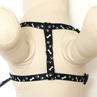 Комплект «Классика», капрон, ширина 1 см, шлейка 28-47 см, поводок 120 см, чёрный - Фото 5