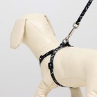 Комплект «Классика», капрон, ширина 1 см, шлейка 28-47 см, поводок 120 см, чёрный - Фото 7