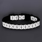 Ошейник со светоотражающим орнаментом, 55 х 2,5 см, чёрный - фото 23552347