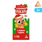 Новогодний набор купонов «Новый год: В дорогу», 5 купонов, 3+ - Фото 4