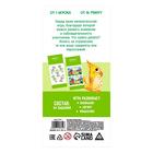 Набор игр-купонов - фото 804609923