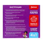 Набор для опытов «Мастерская кристаллов: Ёлочная игрушка», вырасти кристалл 6943068 - фото 319764541