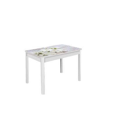 Стол раздвижной «Триумф», 1000(1350) × 700 × 750 мм, опоры массив, цвет белый / 443439742